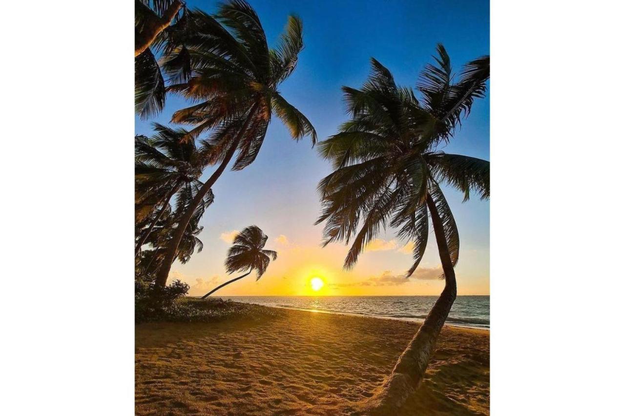Maré Suítes Patacho Pôrto de Pedras Exteriér fotografie